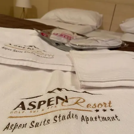 Aspen Suits Studio 반스코